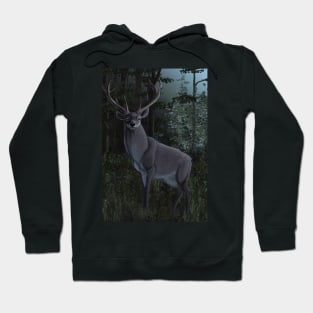 Midnight Stag Hoodie